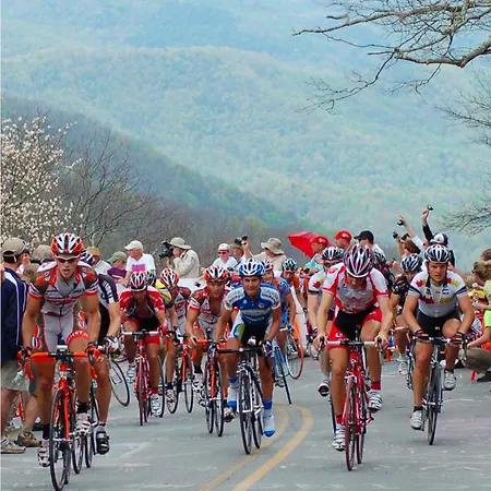 Maison De Reve 度假居 *