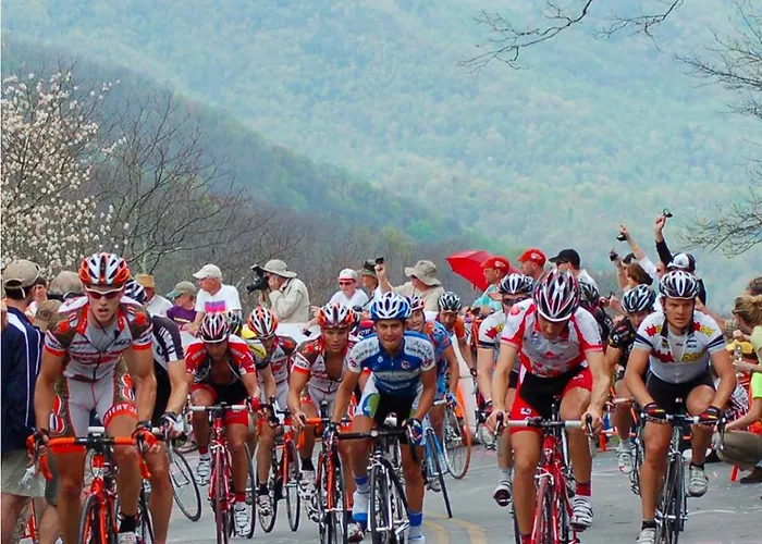 Maison De Reve Vakantiehuis *